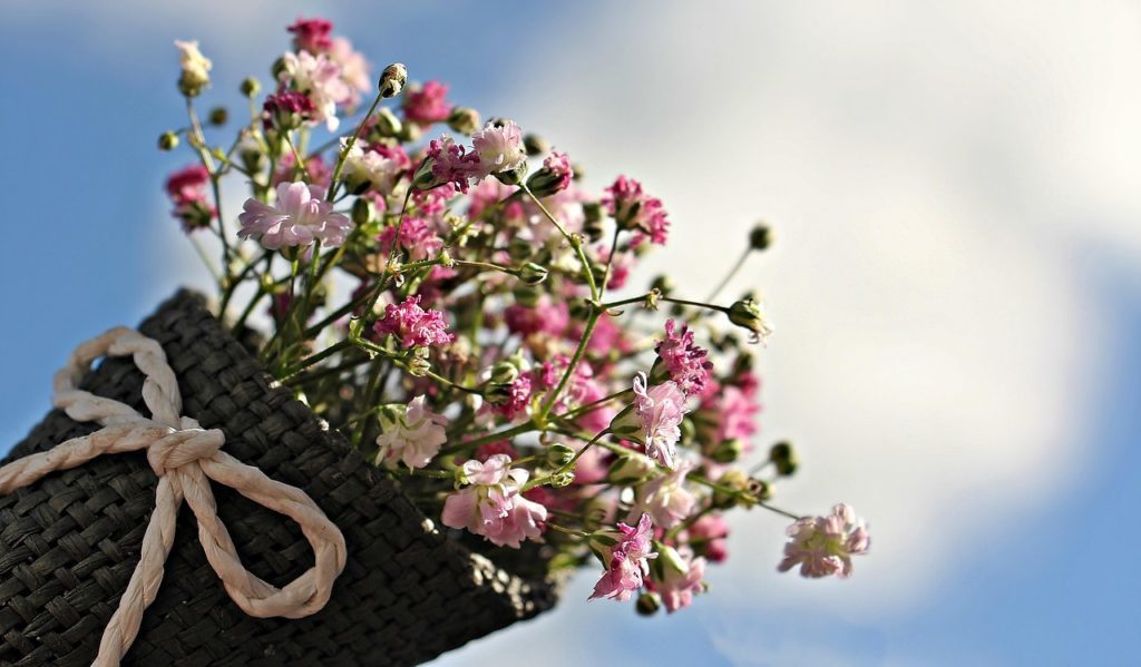 Fleurs Fleurs
